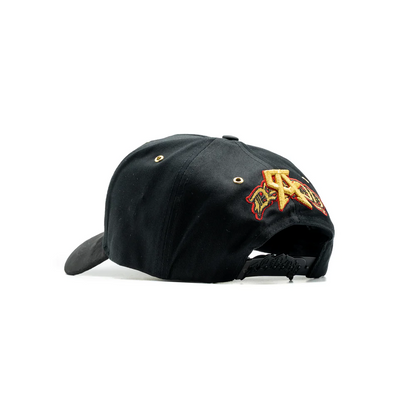 GORRA DANDY HATS x CANELO "WBC"